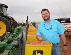 Peanut planting